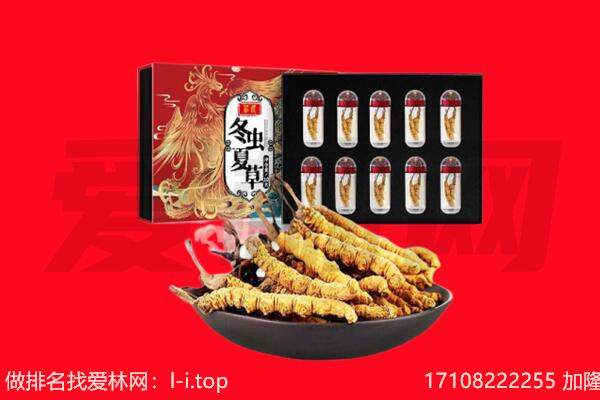 琼中回收虫草.jpg